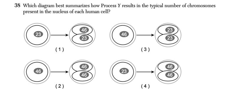 File:Biology Au25 38.png