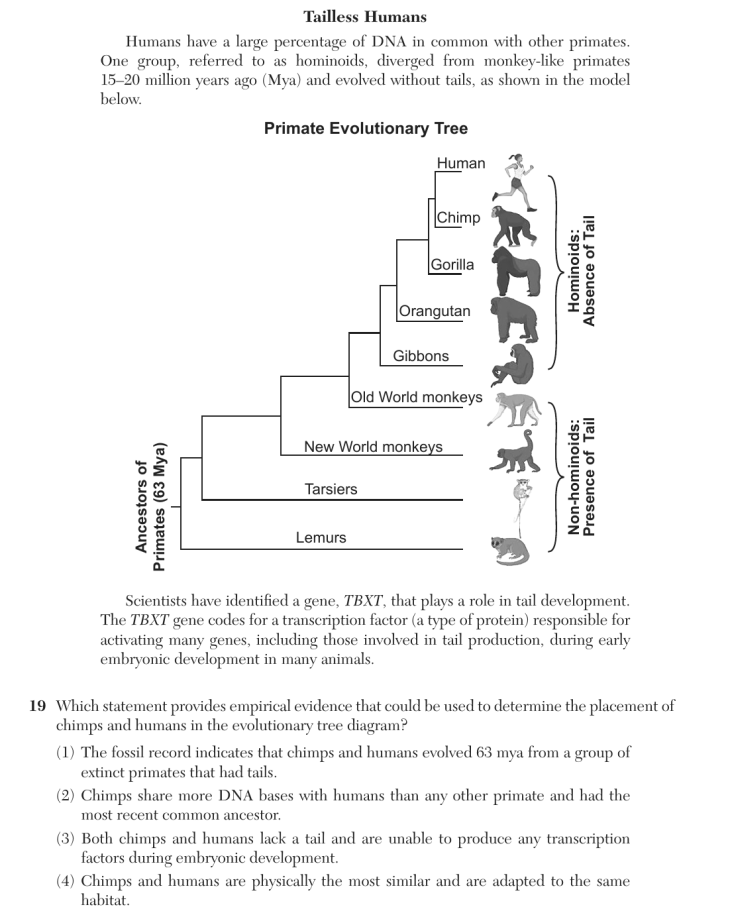 Question 1