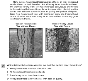 Spring 2026 5-6 Locust Trees Question 29.png