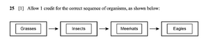 5-6 Question 25 Answer.png