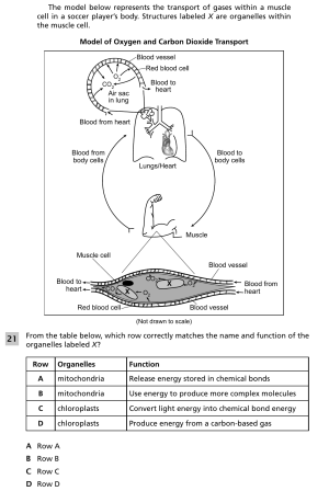 Organ systems and responses 3.png