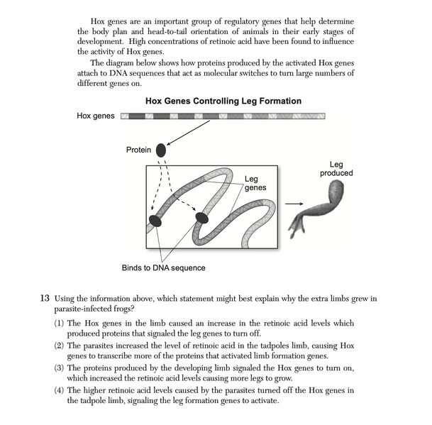 File:Biology Ju25 13.png
