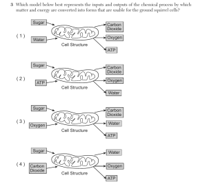 Biology Ju26 3.png