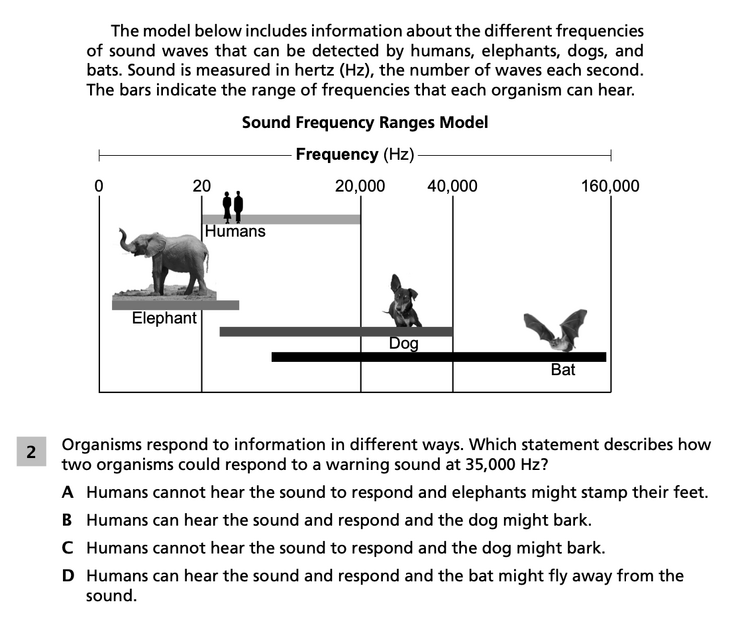 Question 2