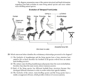 Biology Ju25 29.png
