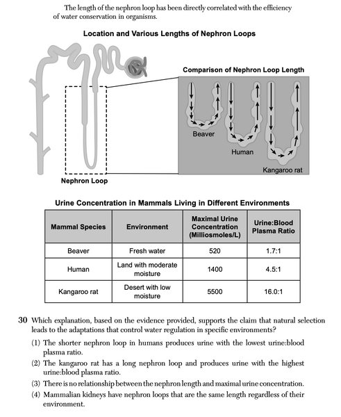 File:Biology Au25 30.png