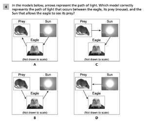 5-1 Animal Senses Question 4.png
