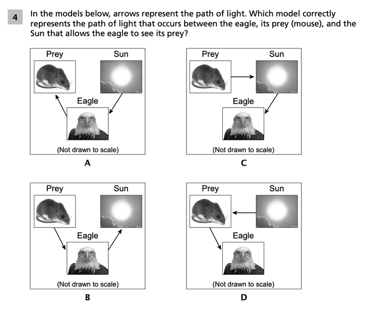 Question 4