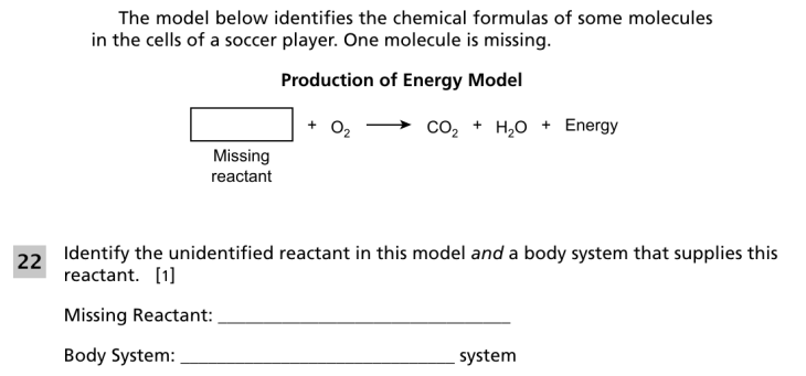 Question 4
