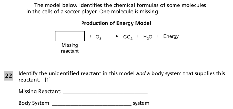 File:Organ systems and responses 4.png