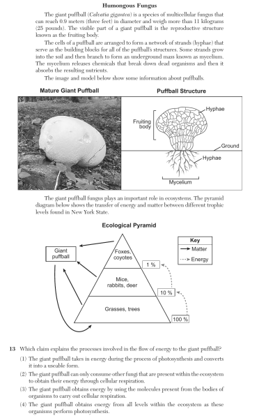 File:Biology Au26 13.png