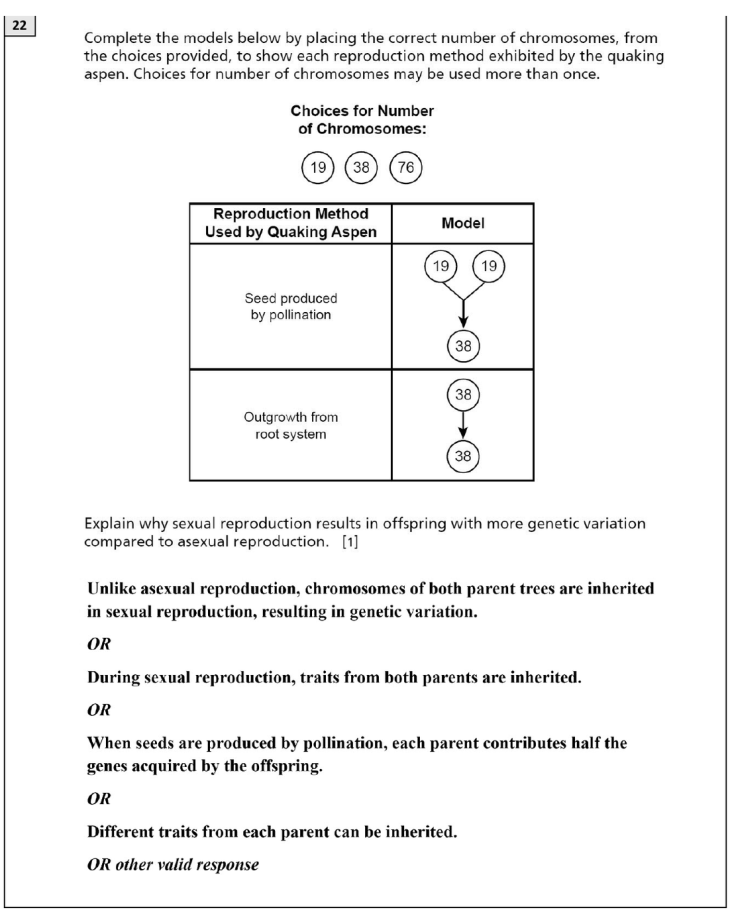 Answer to Question 3