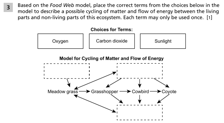 Question 3