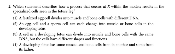 Question 2