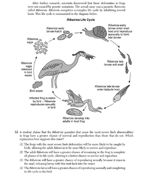 Biology Ju25 12.png
