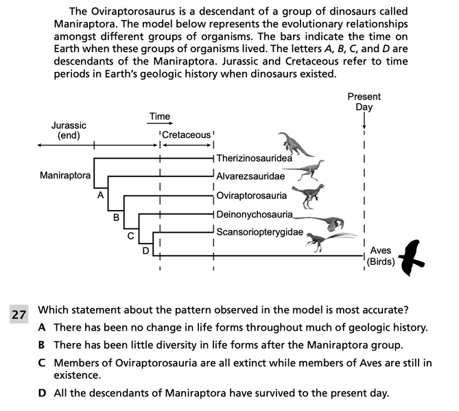File:Evolutionary relationships 5.png
