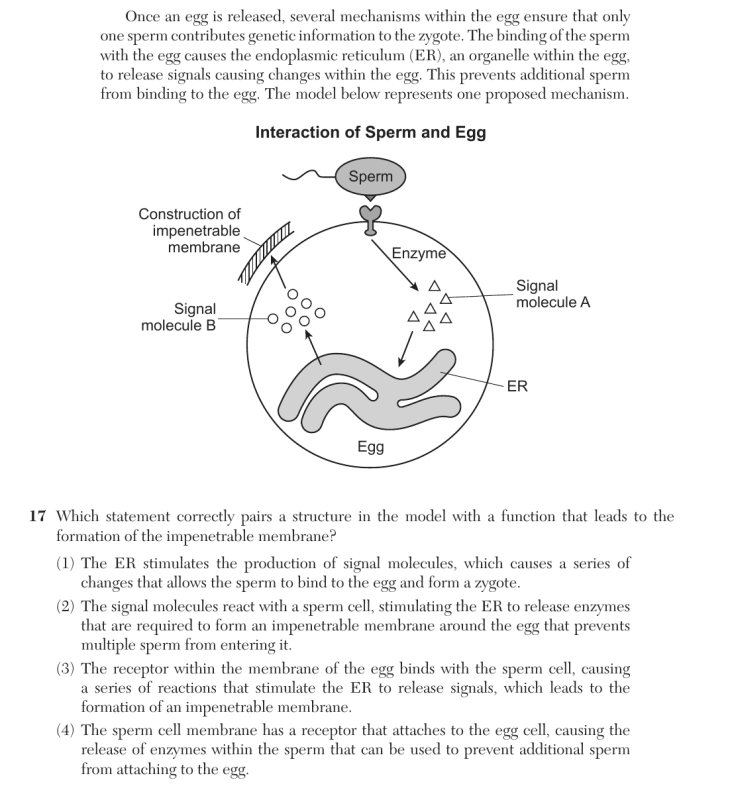 Question 3