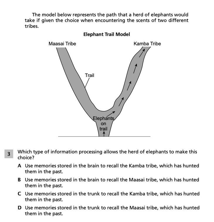 Question 3